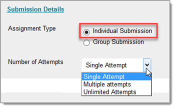 submission details