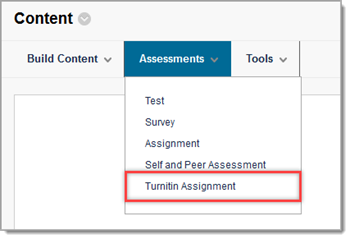 turnitin assignment