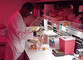 Researcher at lab bench