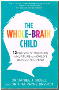 book cover for The Whole Brain child