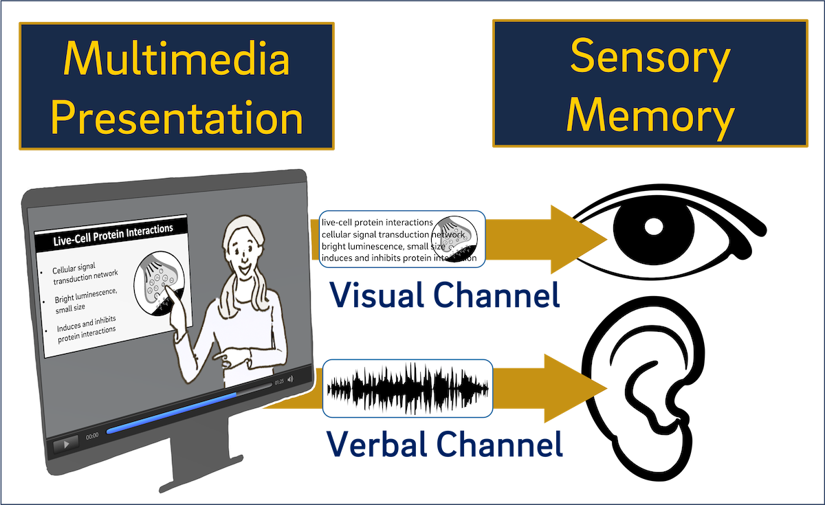 multimedia learning presentation