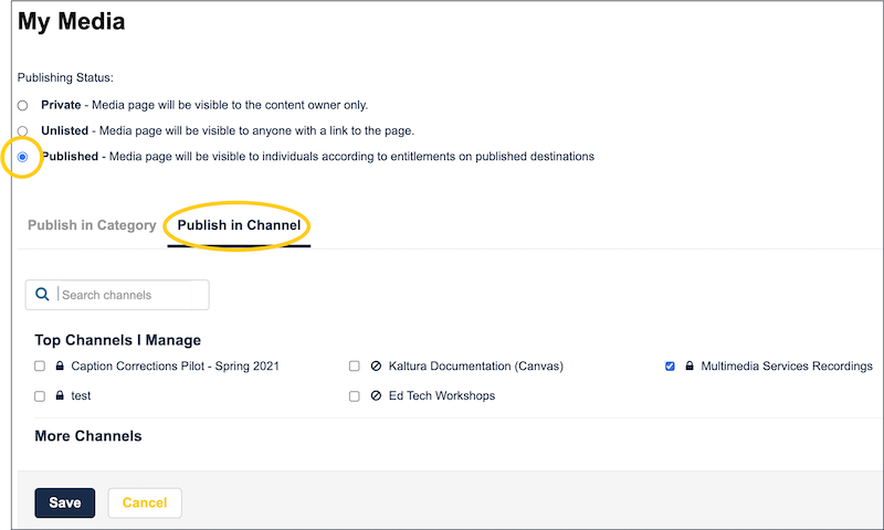 A screenshot of MediaSpace publish options.