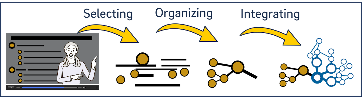 An illustration of active processing (selecting, organizing, and integrating).