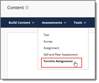 turnitin assignment