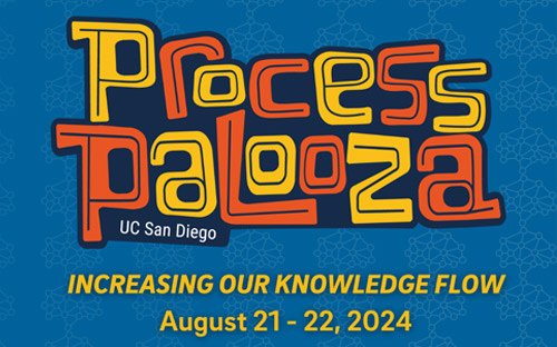 Process Palooza logo