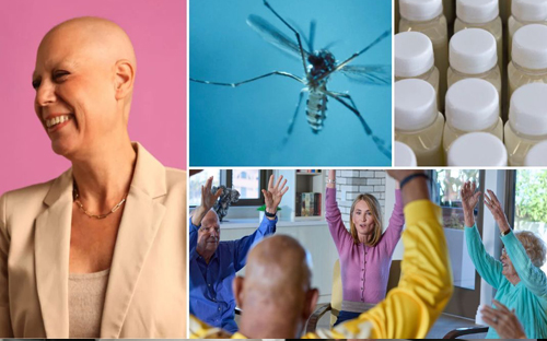 Decorative aspects of research - from beautiful cancer patient to pipettes