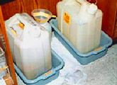Carboys in secondary containers