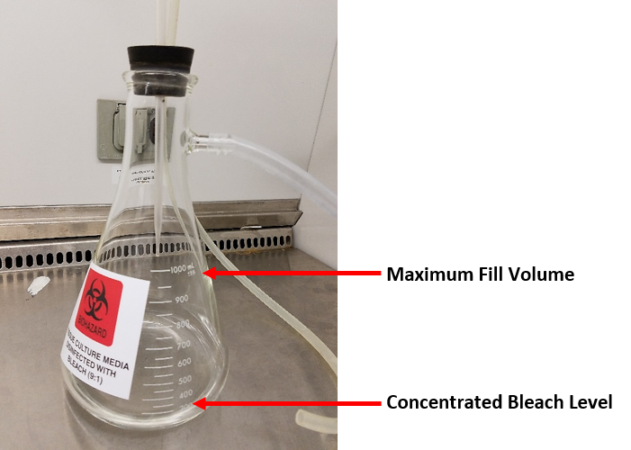 Biosafety How to Disinfect Tissue Culture Media in Vacuum Flasks