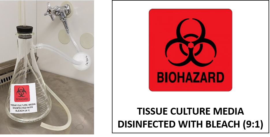 Biosafety: How to Disinfect Tissue Culture Media in Vacuum Flasks