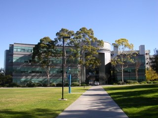 Stein Clinical Research Building