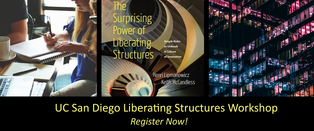 liberating structures immersion workshop