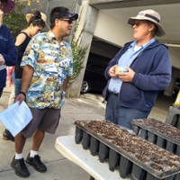 Chris Johnson discusses oak trees with Tree Tours guest