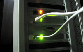 Network cables attached to a computer