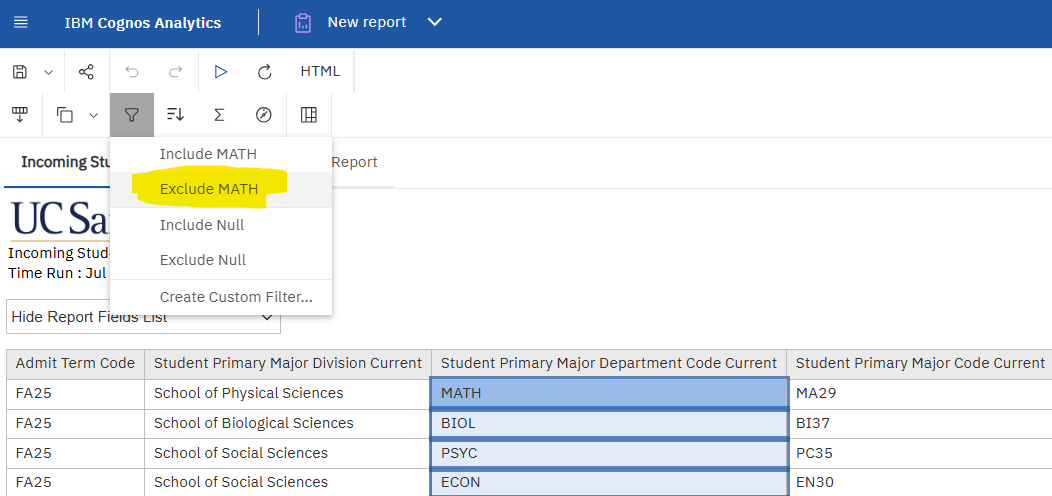 Image shows the filter options available via the report consumer control panel in Cognos.