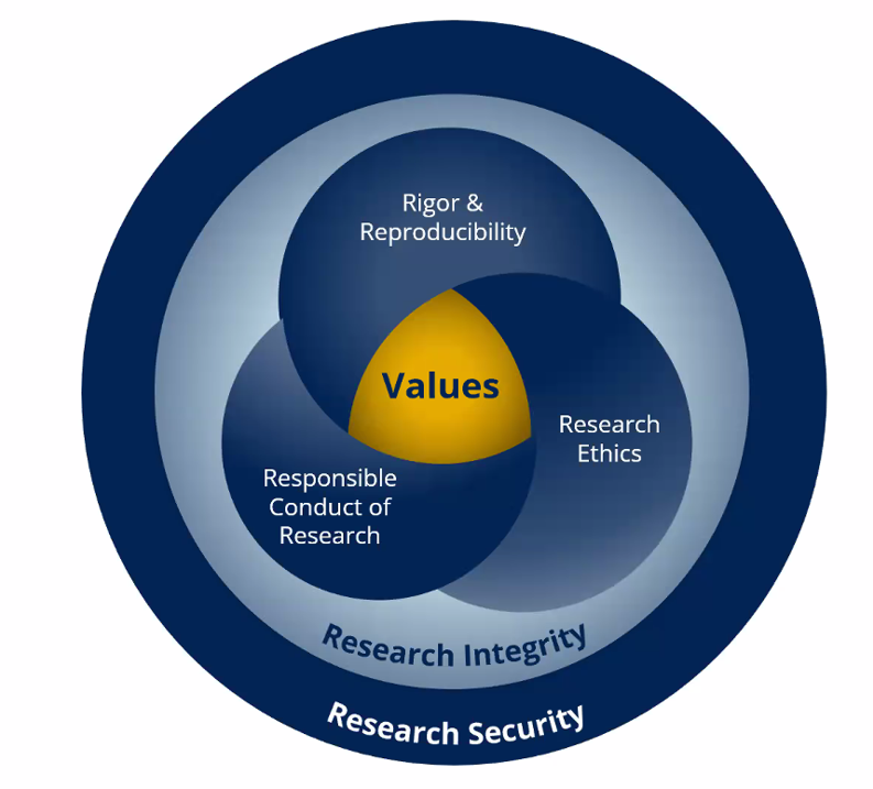 Research-security-graph.png