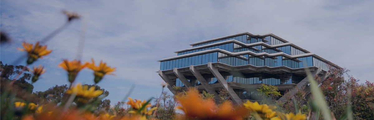 Orange flowers in the clear sky with Geisel Library behind the flowers.